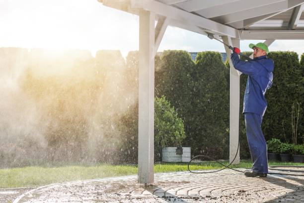 Best Animal Enclosure Cleaning  in Lexington, OK