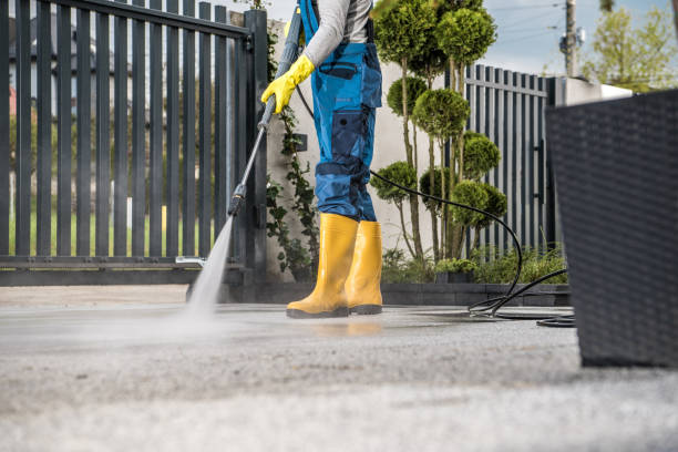 Animal Enclosure Cleaning in Lexington, OK